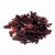 Hibiskus-3.JPG