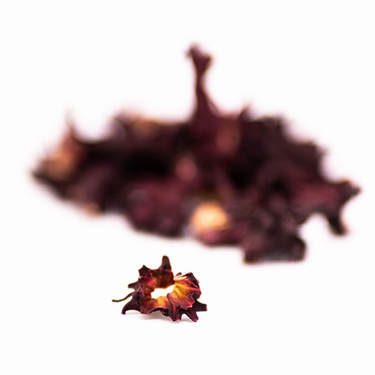 Hibiskus-2.JPG