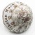 tibetan-mushroom-shu-pu-erh-1.jpg