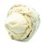 Sheng-Tibetan-Musrhoom-4.JPG