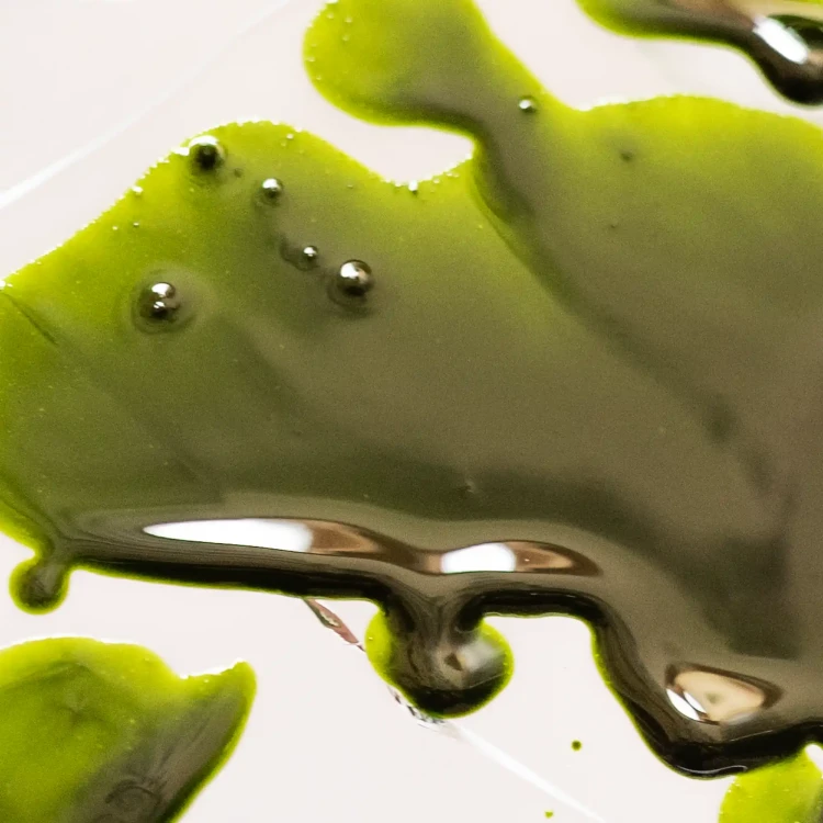 olej-matcha-z-bliska.webp
